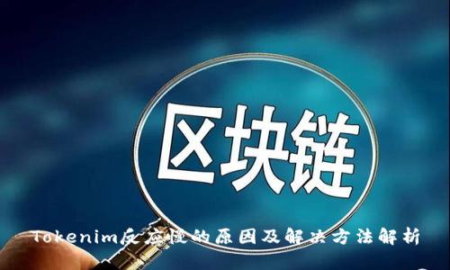 Tokenim反应慢的原因及解决方法解析