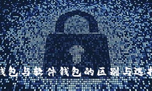 硬件钱包与软件钱包的区别与选择指南