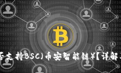 IM钱包是否支持BSC(币安智能链)?详解及使用指南
