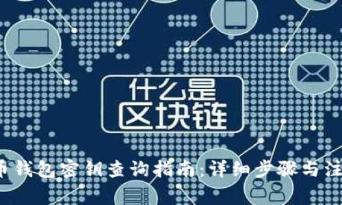  虚拟币钱包密钥查询指南：详细步骤与注意事项
