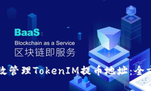 如何有效管理TokenIM提币地址:全方位指南
