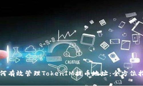 如何有效管理TokenIM提币地址:全方位指南