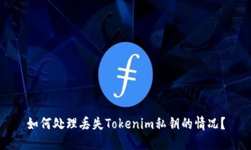 如何处理丢失Tokenim私钥的情况？