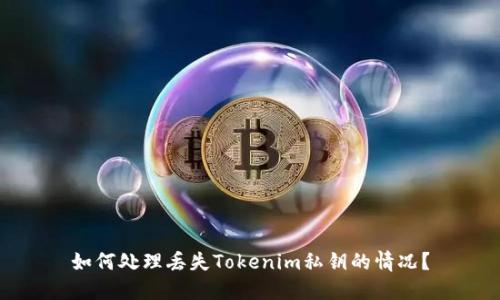 如何处理丢失Tokenim私钥的情况？