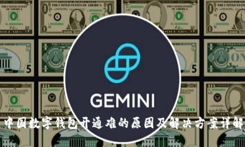 中国数字钱包开通难的原因及解决方案详解