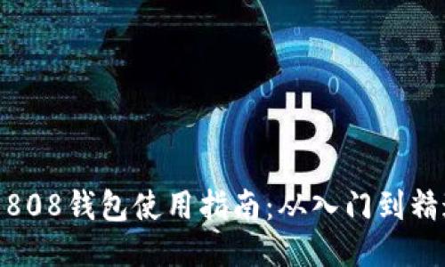: 808钱包使用指南：从入门到精通