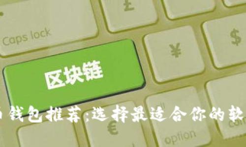 虚拟币钱包推荐:选择最适合你的软件平台