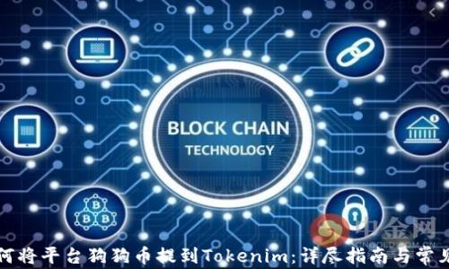 如何将平台狗狗币提到Tokenim:详尽指南与常见问题