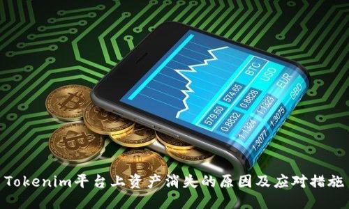 Tokenim平台上资产消失的原因及应对措施