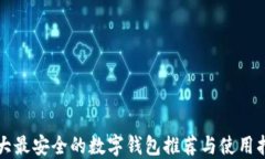 十大最安全的数字钱包推荐与使用指南