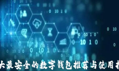 十大最安全的数字钱包推荐与使用指南