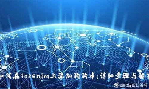 如何在Tokenim上添加狗狗币:详细步骤与解答
