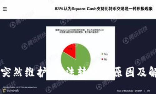 IM钱包突然维护,无法转账的原因及解决方案
