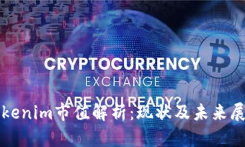 Tokenim市值解析:现状及未来展望