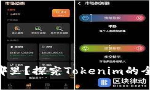 Tokenim注册地在哪里？探究Tokenim的全球运营与监管合规