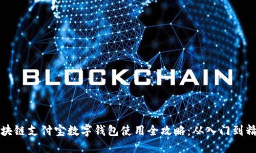 区块链支付宝数字钱包使用全攻略:从入门到精通