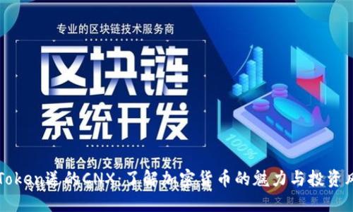 imToken送的CNX:了解加密货币的魅力与投资风险