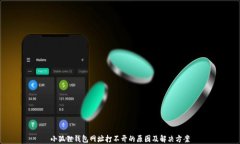 小狐狸钱包网址打不开的原因及解决方案