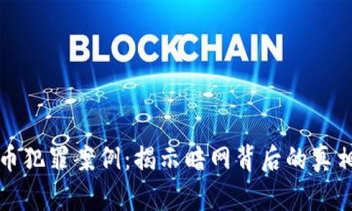 数字货币犯罪案例：揭示暗网背后的真相与对策