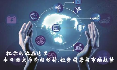 把你的放在这里
今日柴犬币价格分析:投资前景与市场趋势