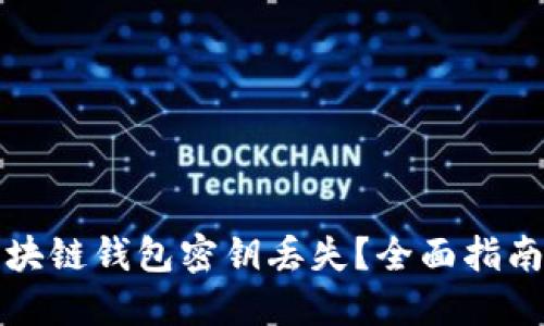 如何应对区块链钱包密钥丢失？全面指南与解决方案