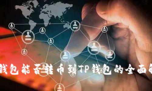 IM钱包能否转币到TP钱包的全面解析