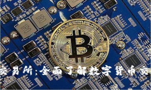 探秘Bitinka交易所：全面了解数字货币交易的先锋平台