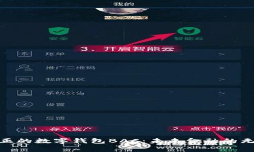 探索真正的数字钱包BAC:未来金融的无缝连接