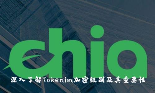 深入了解Tokenim加密级别及其重要性