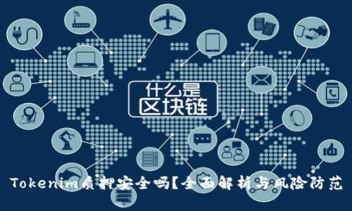 Tokenim质押安全吗？全面解析与风险防范