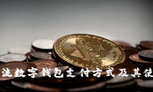 国内主流数字钱包支付方式及其使用指南
