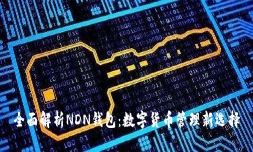 全面解析NDN钱包：数字货币管理新选择