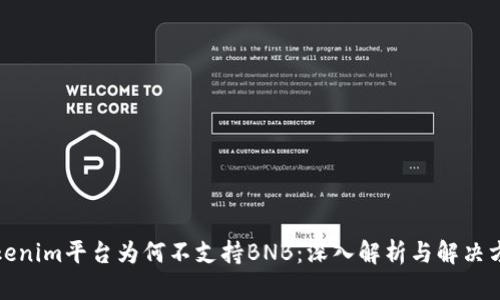 Tokenim平台为何不支持BNB:深入解析与解决方案