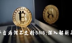 Tokenim平台为何不支持BNB：深入解析与解决方案