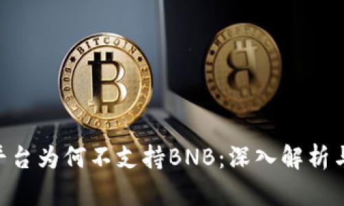 Tokenim平台为何不支持BNB:深入解析与解决方案