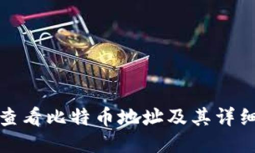 如何查看比特币地址及其详细信息