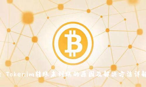 : Tokenim转账未到账的原因及解决方法详解
