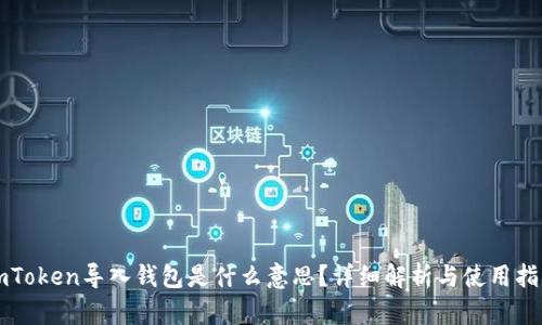 imToken导入钱包是什么意思?详细解析与使用指南