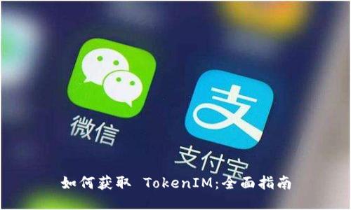 如何获取 TokenIM:全面指南
