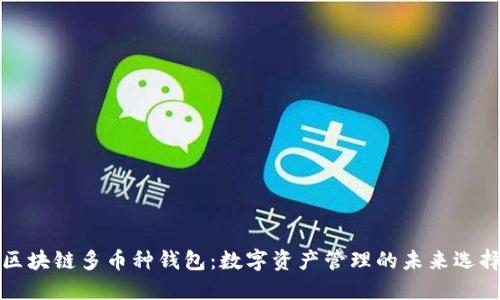 区块链多币种钱包:数字资产管理的未来选择