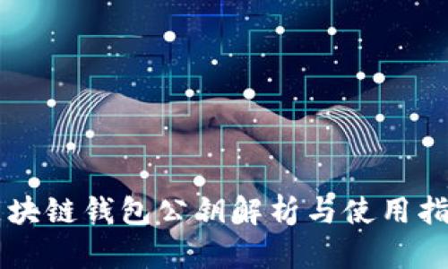 区块链钱包公钥解析与使用指南