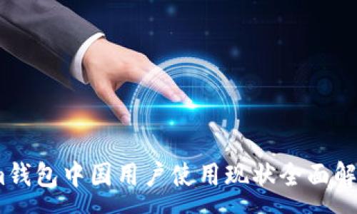 :
im钱包中国用户使用现状全面解析