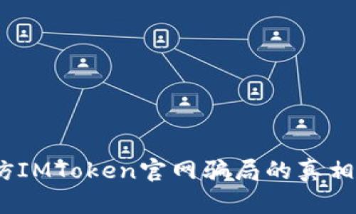 深入分析:仿IMToken官网骗局的真相与防范技巧