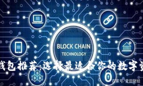 比较安全的钱包推荐：选择最适合你的数字资产安全方案