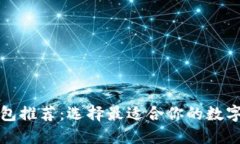 比较安全的钱包推荐:选择最适合你的数字资产