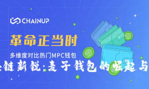 区块链新锐:麦子钱包的崛起与创新