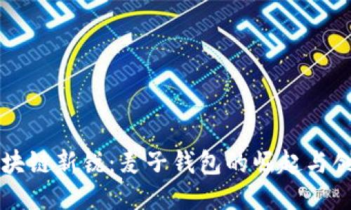 区块链新锐:麦子钱包的崛起与创新