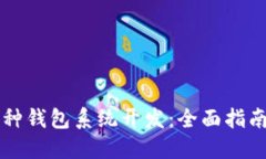 区块链多币种钱包系统开发:全面指南与最佳实