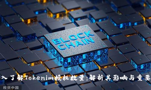 深入了解Tokenim授权数量：解析其影响与重要性