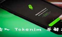 如何正确输入 Tokenim 并解决常见问题